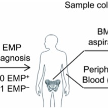 Single-cell RNA sequencing reveals chemokine self-feeding of myeloma cells promotes extramedullary metastasis