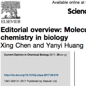 Editorial overview: Molecular imaging for seeing chemistry in biology