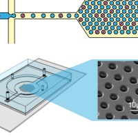 Microfluidics for biological measurements with single-molecule resolution (Review Article)