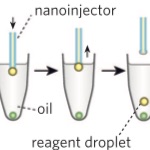 Interfacial Nanoinjection-Based Nanoliter Single-Cell Analysis