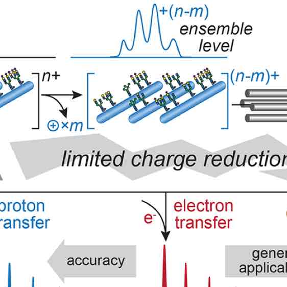 Improving Accuracy in Mass Spectrometry-Based Mass Determination of Intact Heterogeneous Protein Utilizing the Universal Benefits of Charge Reduction and Alternative Gas-Phase Reactions