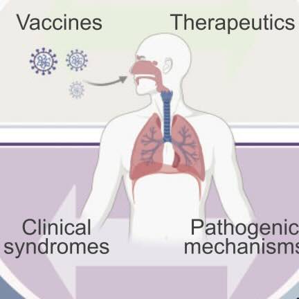 Multi-omics in COVID-19: Driving development of therapeutics and vaccines.